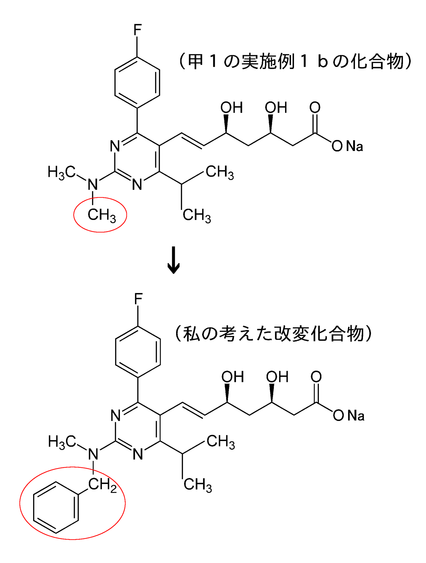 Sotoku10-p24fig.png